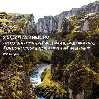 Picture 02 - 2 চমূৱেল 12:12 BENIRV - যেহেতু তুমি গোপনে - Bible Verse Picture