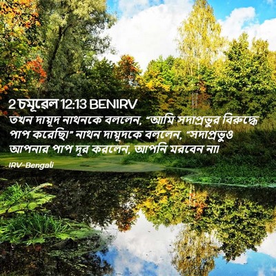 Picture 02 - 2 চমূৱেল 12:13 BENIRV - তখন দায়ূদ নাথনকে - Bible Verse Picture