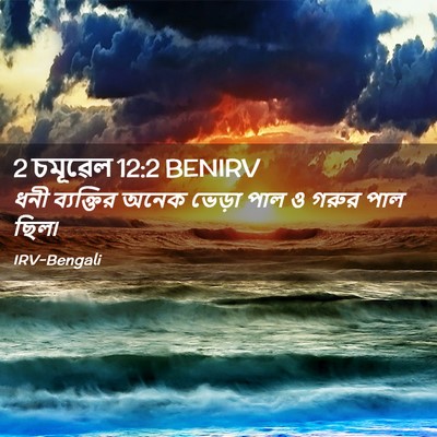 Picture 02 - 2 চমূৱেল 12:2 BENIRV - ধনী ব্যক্তির অনেক - Bible Verse Picture
