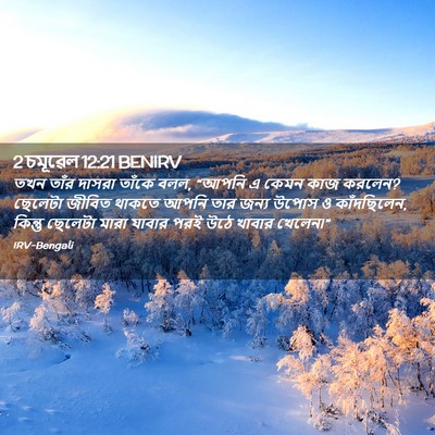Picture 02 - 2 চমূৱেল 12:21 BENIRV - তখন তাঁর দাসরা - Bible Verse Picture