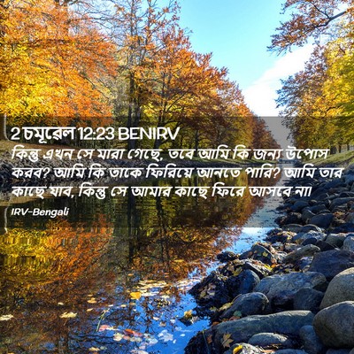 Picture 02 - 2 চমূৱেল 12:23 BENIRV - কিন্তু এখন সে মারা - Bible Verse Picture