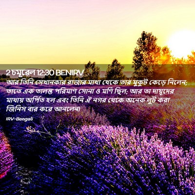 Picture 02 - 2 চমূৱেল 12:30 BENIRV - আর তিনি সেখানকার - Bible Verse Picture