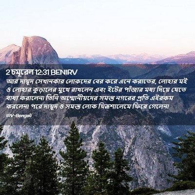 Picture 02 - 2 চমূৱেল 12:31 BENIRV - আর দায়ূদ - Bible Verse Picture