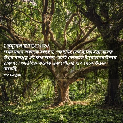 Picture 02 - 2 চমূৱেল 12:7 BENIRV - তখন নাথন দায়ূদকে - Bible Verse Picture