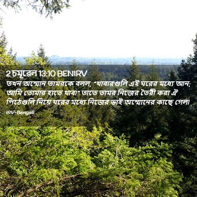 Picture 02 - 2 চমূৱেল 13:10 BENIRV - তখন অম্মোন তামরকে - Bible Verse Picture