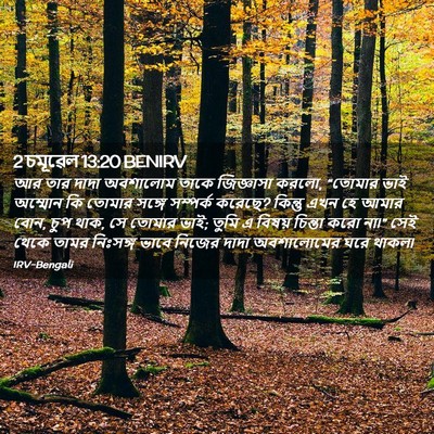 Picture 02 - 2 চমূৱেল 13:20 BENIRV - আর তার দাদা - Bible Verse Picture