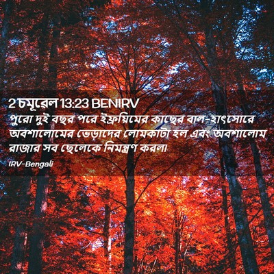 Picture 02 - 2 চমূৱেল 13:23 BENIRV - পুরো দুই বছর পরে - Bible Verse Picture