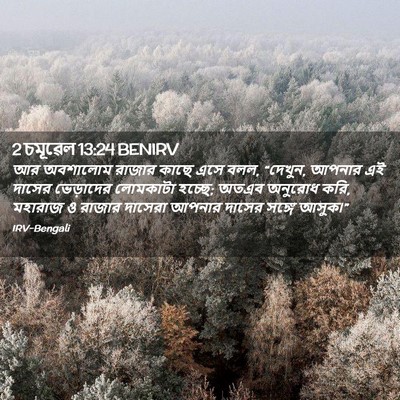 Picture 02 - 2 চমূৱেল 13:24 BENIRV - আর অবশালোম রাজার - Bible Verse Picture