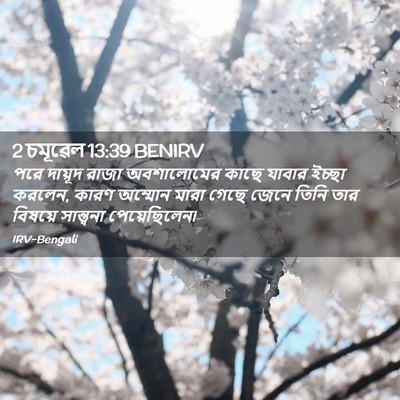 Picture 02 - 2 চমূৱেল 13:39 BENIRV - পরে দায়ূদ রাজা - Bible Verse Picture