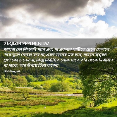 Picture 02 - 2 চমূৱেল 14:14 BENIRV - আমরা তো নিশ্চয়ই - Bible Verse Picture