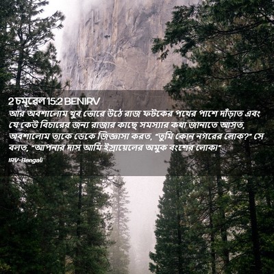 Picture 02 - 2 চমূৱেল 15:2 BENIRV - আর অবশালোম খুব - Bible Verse Picture