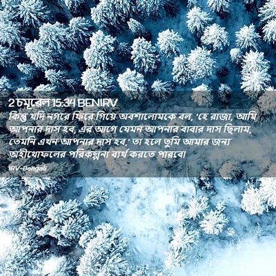 Picture 02 - 2 চমূৱেল 15:34 BENIRV - কিন্তু যদি নগরে - Bible Verse Picture