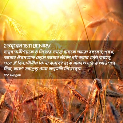 Picture 02 - 2 চমূৱেল 16:11 BENIRV - দায়ূদ অবীশয়কে ও - Bible Verse Picture
