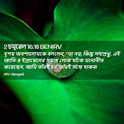 Picture 02 - 2 চমূৱেল 16:18 BENIRV - হূশয় অবশালোমকে - Bible Verse Picture