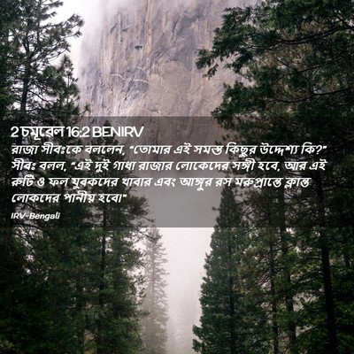Picture 02 - 2 চমূৱেল 16:2 BENIRV - রাজা সীবঃকে বললেন, - Bible Verse Picture