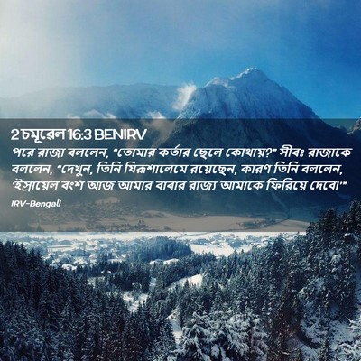 Picture 02 - 2 চমূৱেল 16:3 BENIRV - পরে রাজা বললেন, - Bible Verse Picture