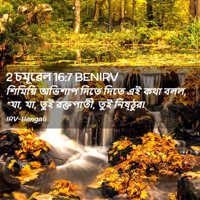 Picture 02 - 2 চমূৱেল 16:7 BENIRV - শিমিয়ি অভিশাপ - Bible Verse Picture