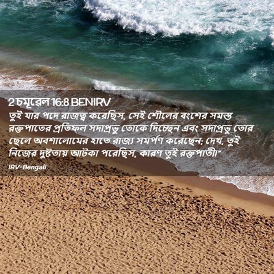 Picture 02 - 2 চমূৱেল 16:8 BENIRV - তুই যার পদে রাজত্ব - Bible Verse Picture
