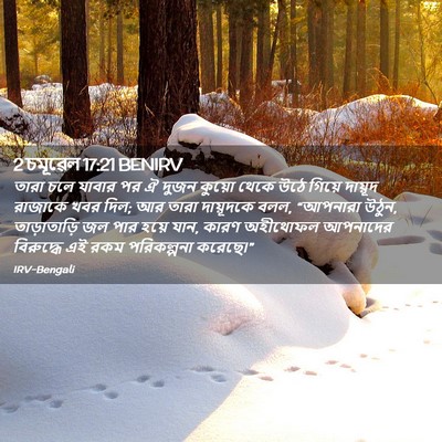 Picture 02 - 2 চমূৱেল 17:21 BENIRV - তারা চলে যাবার পর ঐ - Bible Verse Picture