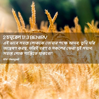 Picture 02 - 2 চমূৱেল 17:3 BENIRV - এই ভাবে সমস্ত - Bible Verse Picture
