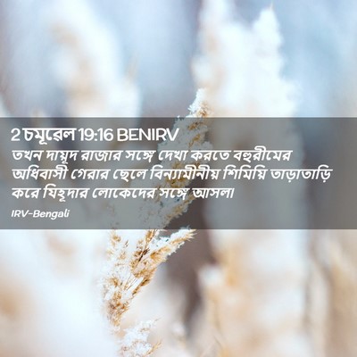 Picture 02 - 2 চমূৱেল 19:16 BENIRV - তখন দায়ূদ রাজার - Bible Verse Picture