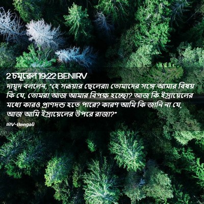 Picture 02 - 2 চমূৱেল 19:22 BENIRV - দায়ূদ বললেন, “হে - Bible Verse Picture