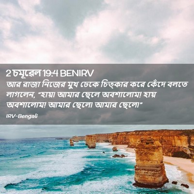 Picture 02 - 2 চমূৱেল 19:4 BENIRV - আর রাজা নিজের মুখ - Bible Verse Picture