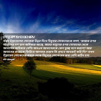 Picture 02 - 2 চমূৱেল 19:43 BENIRV - তখন ইস্রায়েলের - Bible Verse Picture