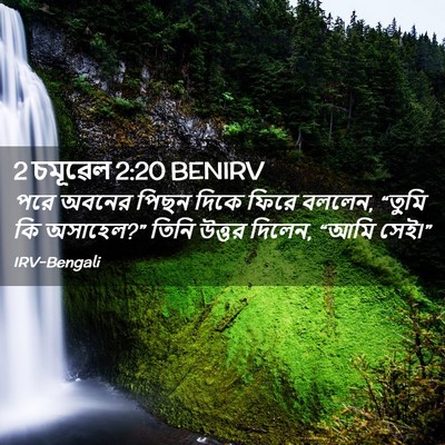 Picture 02 - 2 চমূৱেল 2:20 BENIRV - পরে অবনের পিছন - Bible Verse Picture