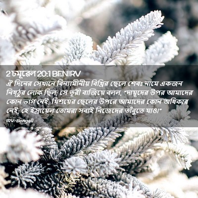 Picture 02 - 2 চমূৱেল 20:1 BENIRV - ঐ দিনের সেখানে - Bible Verse Picture