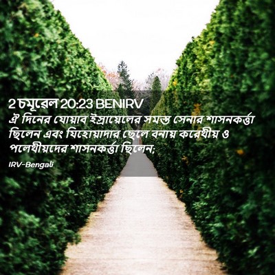 Picture 02 - 2 চমূৱেল 20:23 BENIRV - ঐ দিনের যোয়াব - Bible Verse Picture