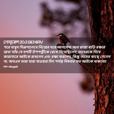 Picture 02 - 2 চমূৱেল 20:3 BENIRV - পরে দায়ূদ - Bible Verse Picture