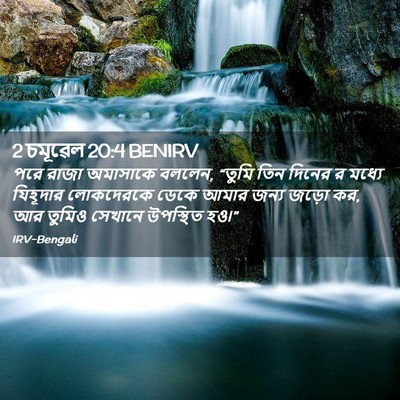 Picture 02 - 2 চমূৱেল 20:4 BENIRV - পরে রাজা অমাসাকে - Bible Verse Picture