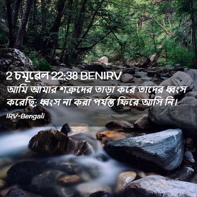 Picture 02 - 2 চমূৱেল 22:38 BENIRV - আমি আমার শত্রুদের - Bible Verse Picture
