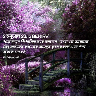 Picture 02 - 2 চমূৱেল 23:15 BENIRV - পরে দায়ূদ - Bible Verse Picture