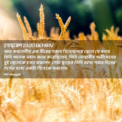 Picture 02 - 2 চমূৱেল 23:20 BENIRV - আর কবসেলীয় এক - Bible Verse Picture
