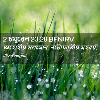 Picture 02 - 2 চমূৱেল 23:28 BENIRV - অহোহীয় সলমোন, - Bible Verse Picture