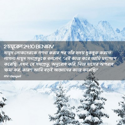 Picture 02 - 2 চমূৱেল 24:10 BENIRV - দায়ূদ লোকদেরকে - Bible Verse Picture