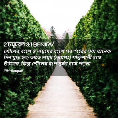 Picture 02 - 2 চমূৱেল 3:1 BENIRV - শৌলের বংশে ও - Bible Verse Picture