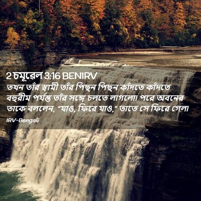 Picture 02 - 2 চমূৱেল 3:16 BENIRV - তখন তাঁর স্বামী - Bible Verse Picture