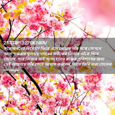Picture 02 - 2 চমূৱেল 3:27 BENIRV - পরে অবনের - Bible Verse Picture