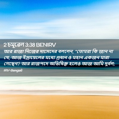 Picture 02 - 2 চমূৱেল 3:38 BENIRV - আর রাজা নিজের - Bible Verse Picture
