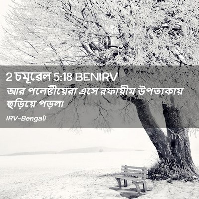 Picture 02 - 2 চমূৱেল 5:18 BENIRV - আর পলেষ্টীয়েরা - Bible Verse Picture