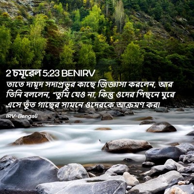 Picture 02 - 2 চমূৱেল 5:23 BENIRV - তাতে দায়ূদ - Bible Verse Picture