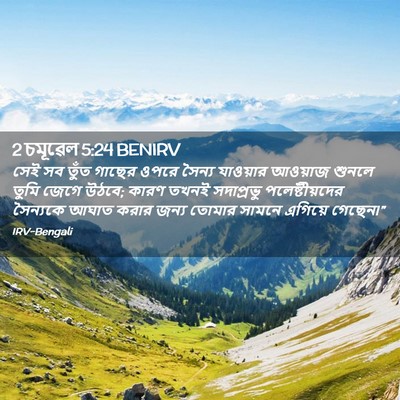 Picture 02 - 2 চমূৱেল 5:24 BENIRV - সেই সব তুঁত গাছের - Bible Verse Picture