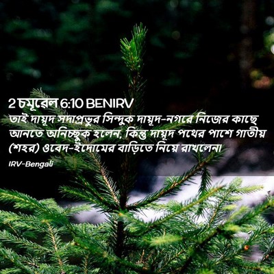 Picture 02 - 2 চমূৱেল 6:10 BENIRV - তাই দায়ূদ - Bible Verse Picture
