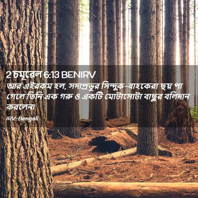 Picture 02 - 2 চমূৱেল 6:13 BENIRV - আর এইরকম হল, - Bible Verse Picture
