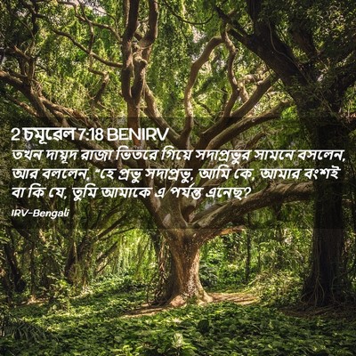 Picture 02 - 2 চমূৱেল 7:18 BENIRV - তখন দায়ূদ রাজা - Bible Verse Picture