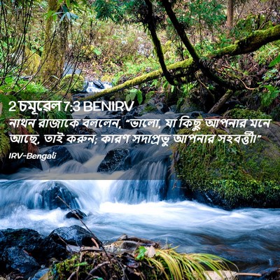 Picture 02 - 2 চমূৱেল 7:3 BENIRV - নাথন রাজাকে বললেন, - Bible Verse Picture