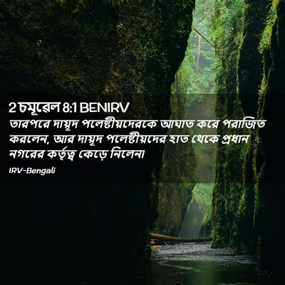 Picture 02 - 2 চমূৱেল 8:1 BENIRV - তারপরে দায়ূদ - Bible Verse Picture